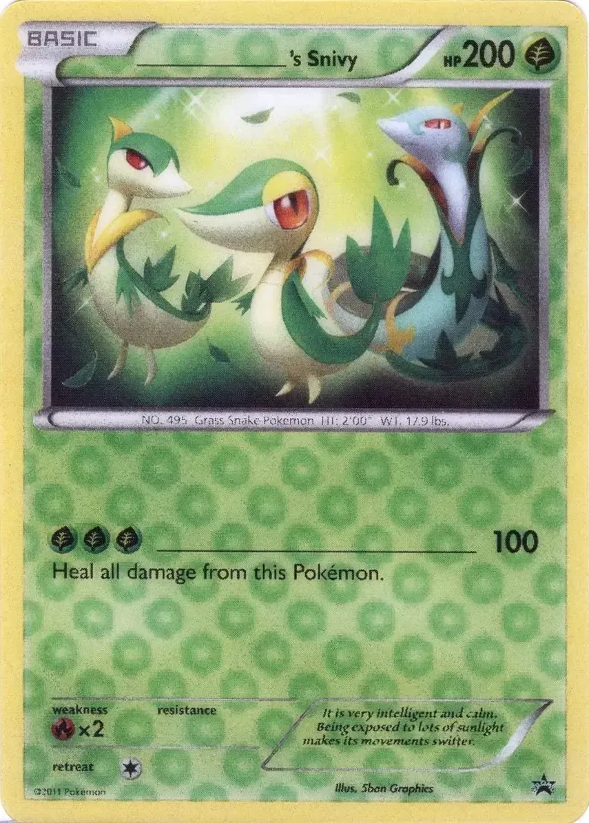 _'s Snivy